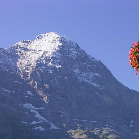Hotel Bellary Grindelwald Exterior foto